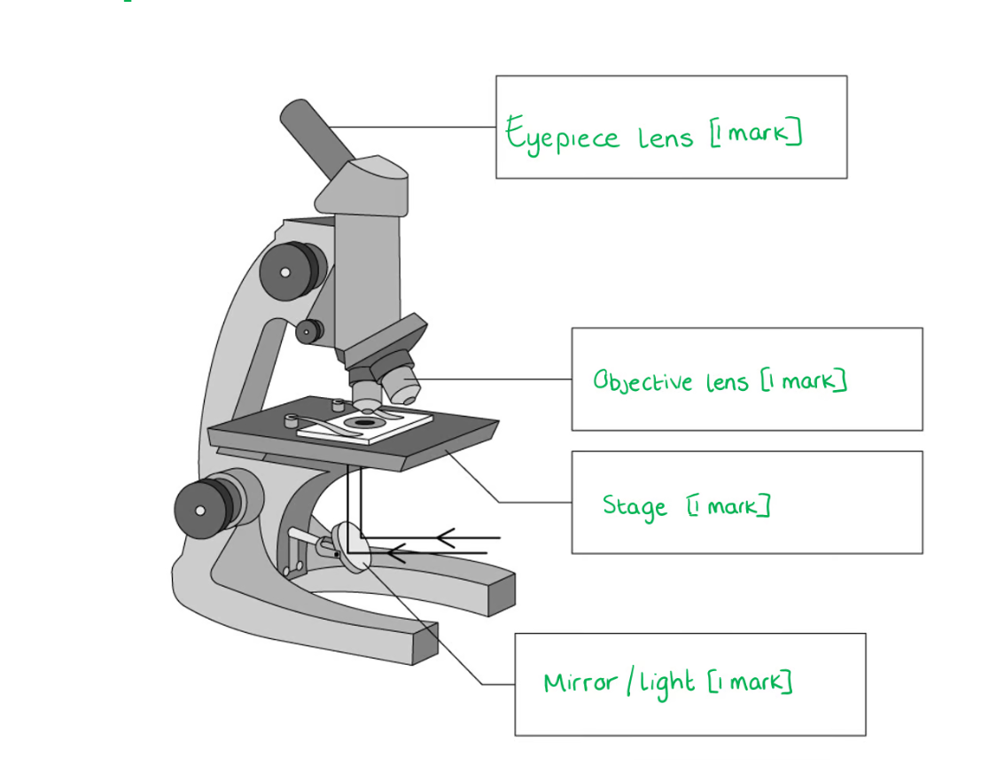 knowt flashcard image