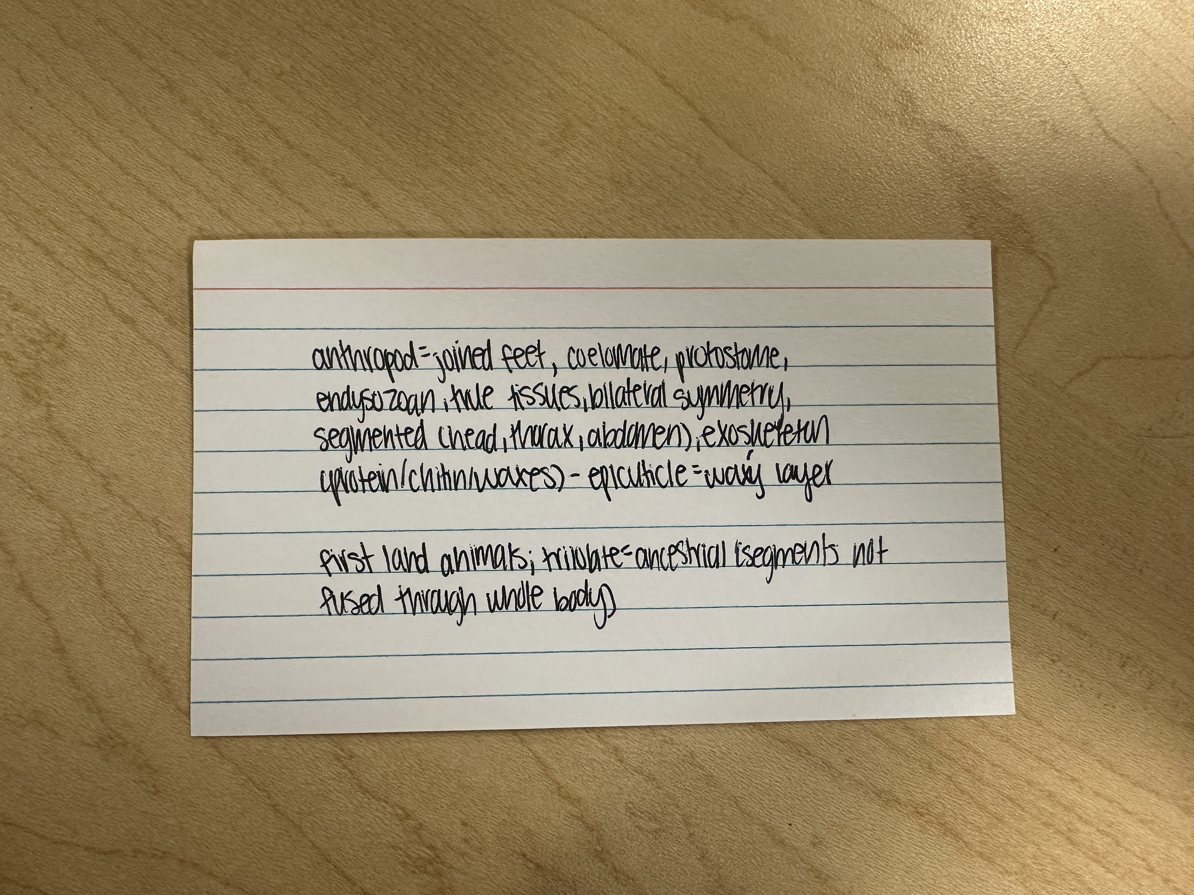 knowt flashcard image