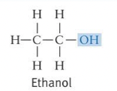 <ul><li><p>Highly polar</p></li><li><p>Makes compounds more soluble through H-bonding with water</p></li><li><p>Can act as a weak acid and drop a proton</p></li></ul>