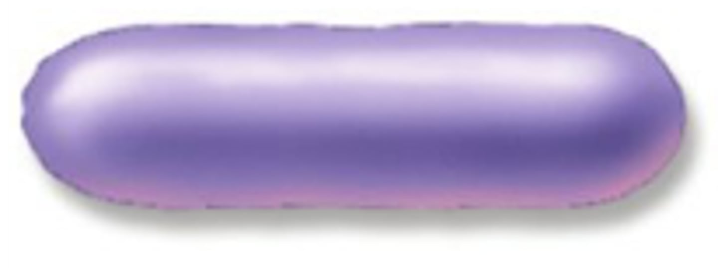 <p>rod-shaped</p>