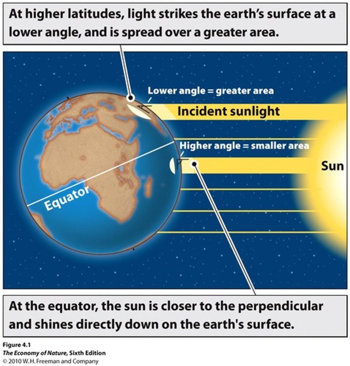 <p>The equator receives a large amount of solar energy year-round, leading to consistently warm temperatures and high precipitation.</p>