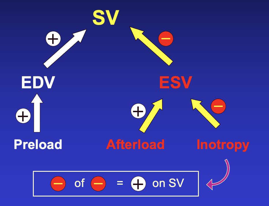 preload, afterload, inotropy
