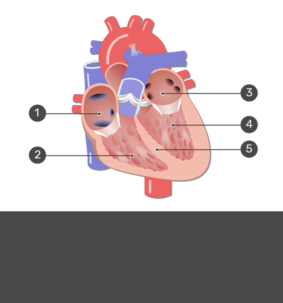 <p>3</p>