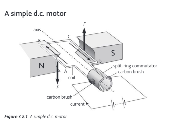 <p>A current-carrying coil placed in a magnetic field experiences a force. The forces on the sides of the coil produce a turning moment, causing the coil to rotate.</p>