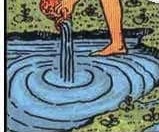 <p>Water </p>