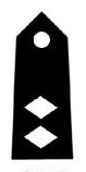 Cadet lieutenant colonel