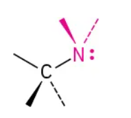 <p>C–N</p>