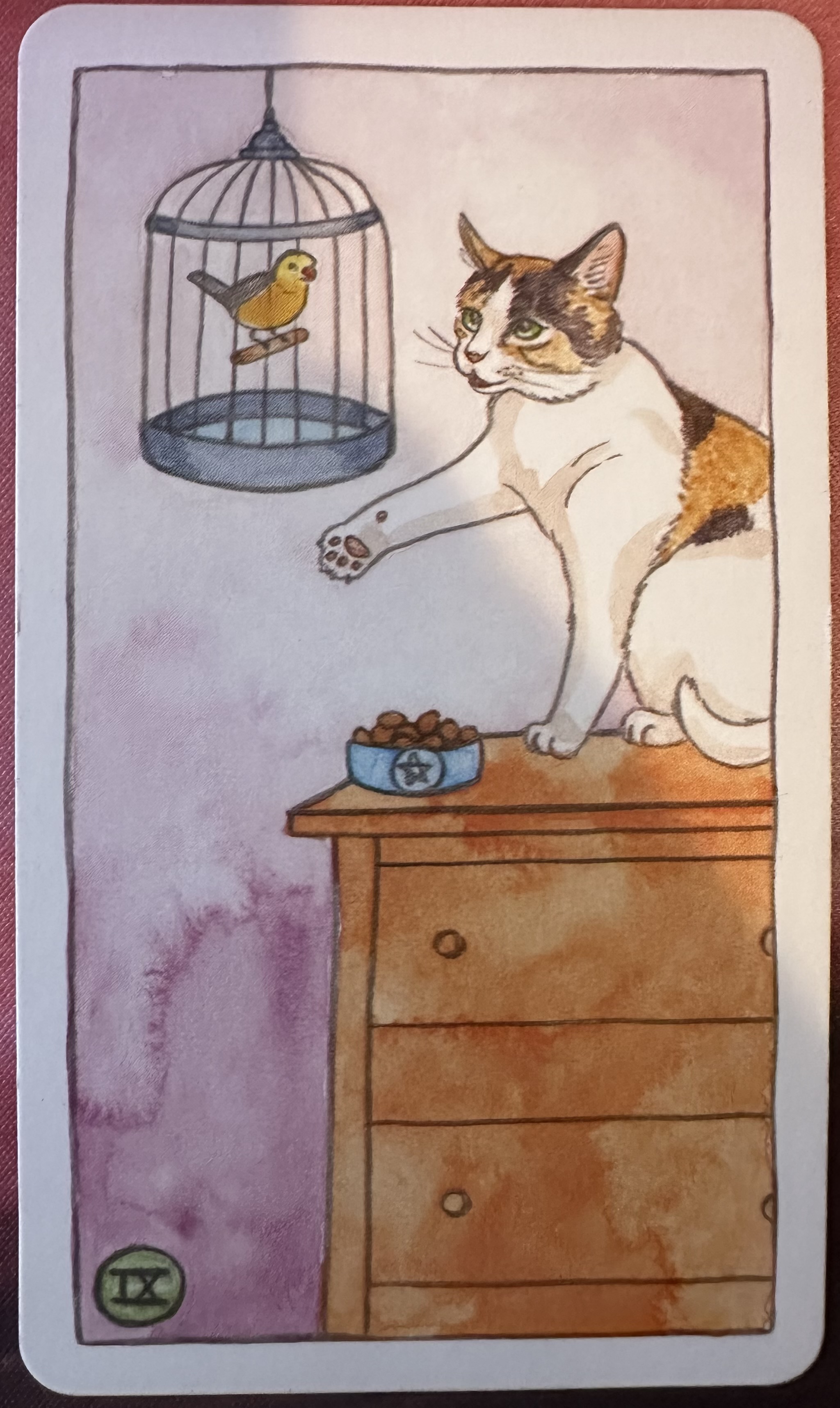 <p>Nine of Pentacles (IX) Upright</p>