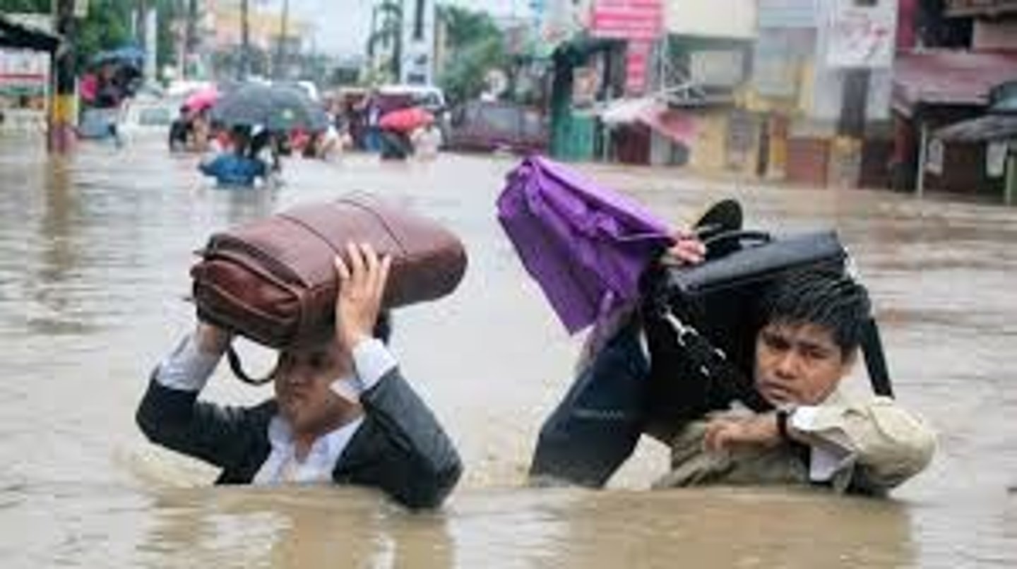 <p>to spend a lot of time and effort doing something difficult or tedious, especially reading through a large amount of information</p><p>ex: Students today often have to ... redundant academic theories that bear little relevance to the volatile job market.</p>