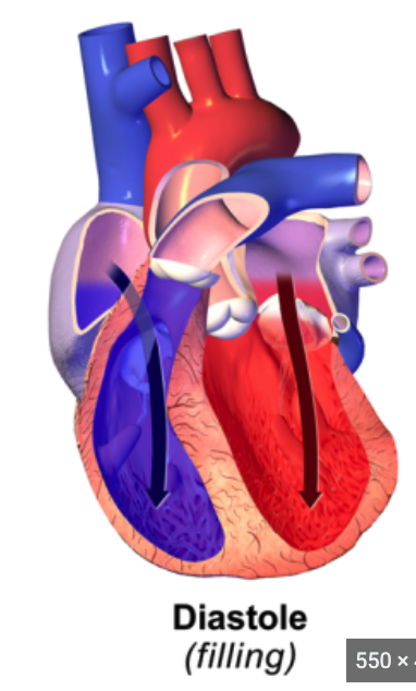 <p><strong>Diastolic pressure</strong></p><ul><li><p><strong>____</strong> but substantial pressure when</p><p>the ventricles <strong>relax</strong> during <strong>diastole</strong>;</p><ul><li><p>elastic walls of _____ snap back</p></li></ul></li><li><p>Before enough blood flows into arterioles to completely relieve arterial pressure, heart _____ again</p><ul><li><p>Keeps arteries pressurized continuously to maintain blood flow</p></li></ul></li></ul>
