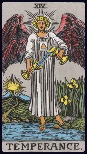 <p>XIV. TEMPERANCE</p>