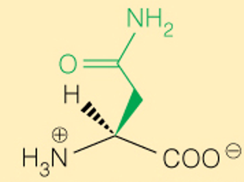 <p>Full</p>