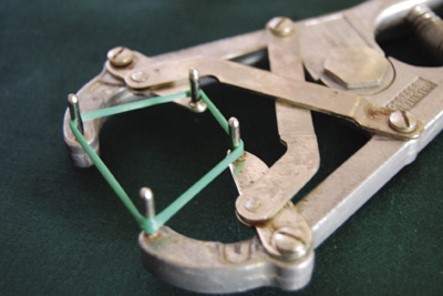 <p>Bands (castration and docking)</p>