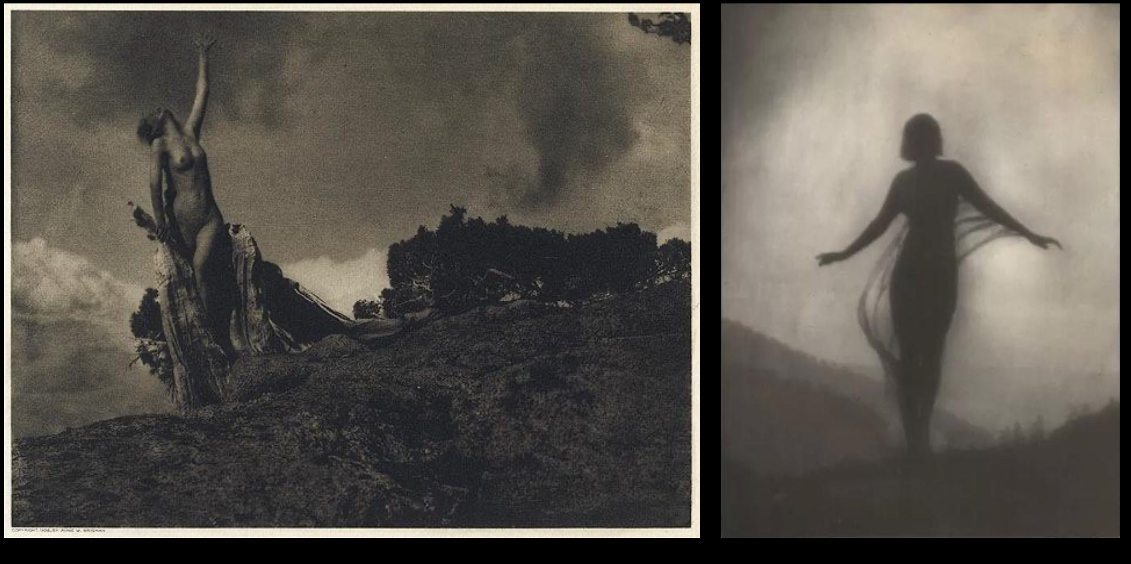  Soul of the Blasted Pine & Breeze,