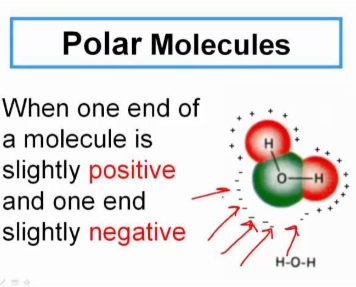 <p>Polar Molecule</p>