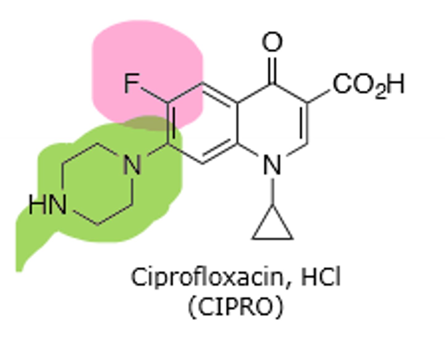 <p>Second generation quinolone, has a fluorine substituent at C-6 and a heterocyclic ring (usually piperazine) at C-7. More gram (+) activity than first generation, but is the most potent gram (-) quinolone. Inhibits DNA gyrase and topoisomerase IV in bacterial DNA production. Rare hallucinations, delirium, and sezirues in patients also taking NSAIDs and theophylline, don't give under the age of 18 due to growing tendons, risk of tendon rupture main resistance is point mutations in A and B subunit of DNA gyrase, leading to decreased binding affinity of quinolones to DNA gyrase.</p>