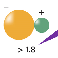 <p>ionic bonds</p>