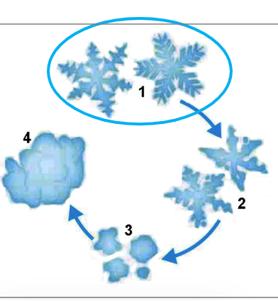 <p>2</p>