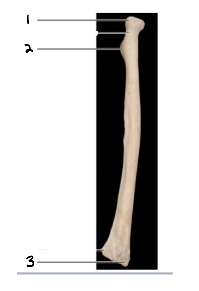 <p>2</p>