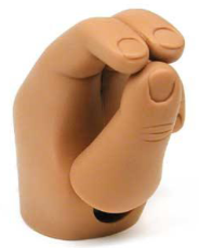 <p>C.A.P.P. Terminal Device </p>