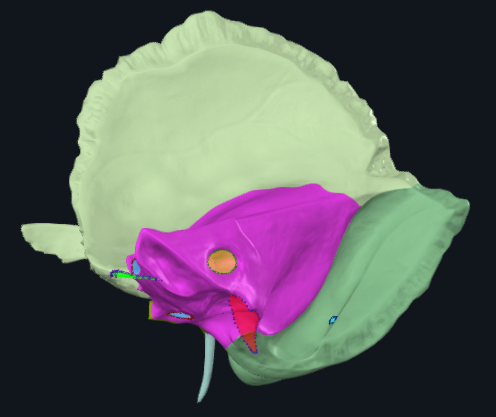 term image