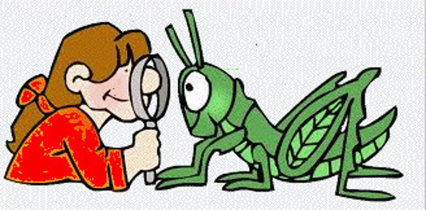 <p>biology</p>