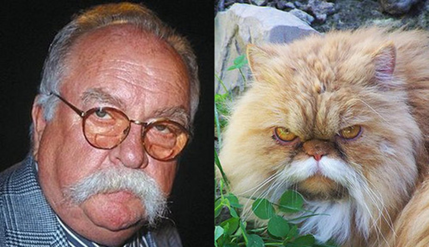 <p>two people or things look kind of alike, or have similar qualities</p>