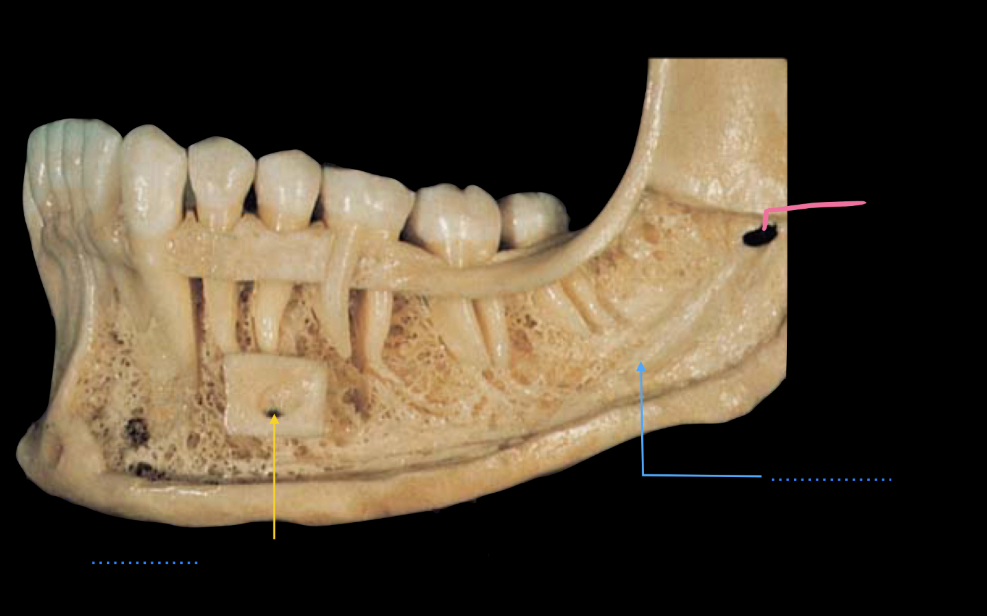 <p>name the parts </p>