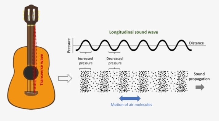 <p>A wave on a plucked guitar string or a wave moving through a rope when one end is shaken up and down.</p>