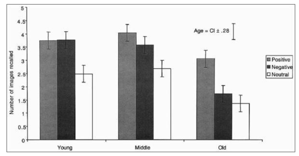 <ul><li><p>Older adults recall fewer negative information.</p></li></ul><p></p>