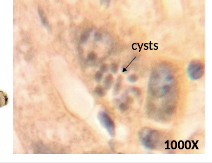 <p>what is the arrow pointing at?</p>