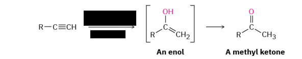 <p>Hydration of Alkynes</p>