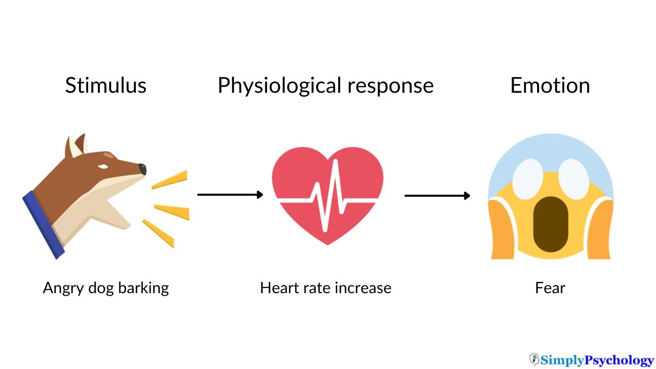<p><span>physiological arousal to a stimulus cause the experience of an emotion, rather than the emotion causing the physiological arousal</span></p>
