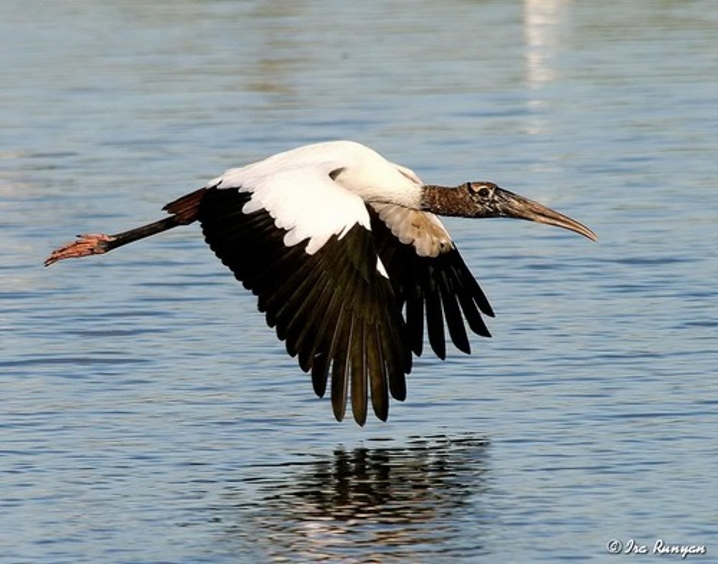 <p>Fresh and saltwater marshes</p>
