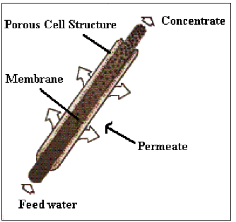 <p>Conjunto de fibras perforadas y delgadas generalmente con una estructura de membrana asimétrica. No necesitan de una estructura de soporte.</p><ul><li><p><strong>Packing density: </strong>1200 m2/m3</p></li><li><p><strong>Energy costs: </strong>bajo</p></li><li><p><strong>Tendencia a taparse por partículas: </strong>alto→ tiene tendencia a obstruirse, por eso no se utilizan soluciones con muchos sólidos (si se rompe una fibra, se ha de tirar todo el filtro). tmp puede con soluciones viscosas. Se trabaja con soluciones laminares y “limpias”</p></li><li><p><strong>Ease of cleaning: </strong>regular</p></li></ul><p></p>