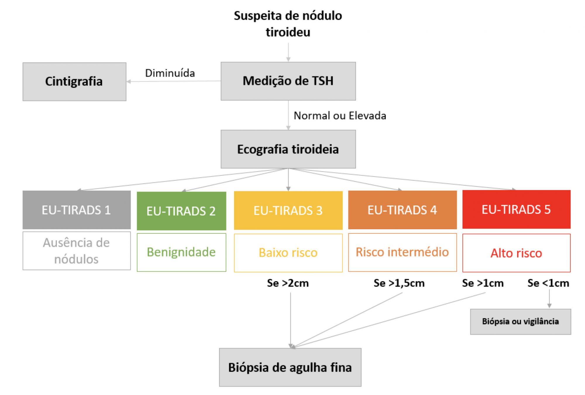 <p>A estratificação de risco para nódulos da tireoide é realizada por meio de sistemas como o sistema EU TI-RADS que analisa características ultrassonográficas.</p>