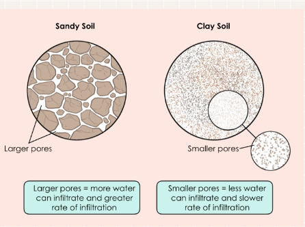 <p>Type of soil</p><p>Infiltration rate and groundwater flows are faster in soil which has larger pores (sandy soil) than in soil which has smaller pores(clayey soil).The larger pores allow more water to infiltrate, allowing the water to move much more quickly.</p><p>How built-up an area is</p><ul><li><p>Infiltration rates are lower in built-up areas where ground surfaces are covered in concrete roads which have tiny pores.</p></li></ul><ul><li><p>The speed of surface runoff is higher on smoother ground surfaces such as on roads and pavements in built-up areas, due to fewer obstructions and lesser friction.</p></li></ul><p>Presence of natural vegetation</p><ul><li><p>Infiltration rates and groundwater flow are faster where there is vegetation as the <strong>roots of plants loosen the soil, creating more open spaces of surface runoff to pass through</strong></p></li><li><p>The speed of surface runoff is <strong>lower on vegetated areas as the stems and roots of grasses and plants act as barriers and increase the surface roughness</strong></p></li></ul>