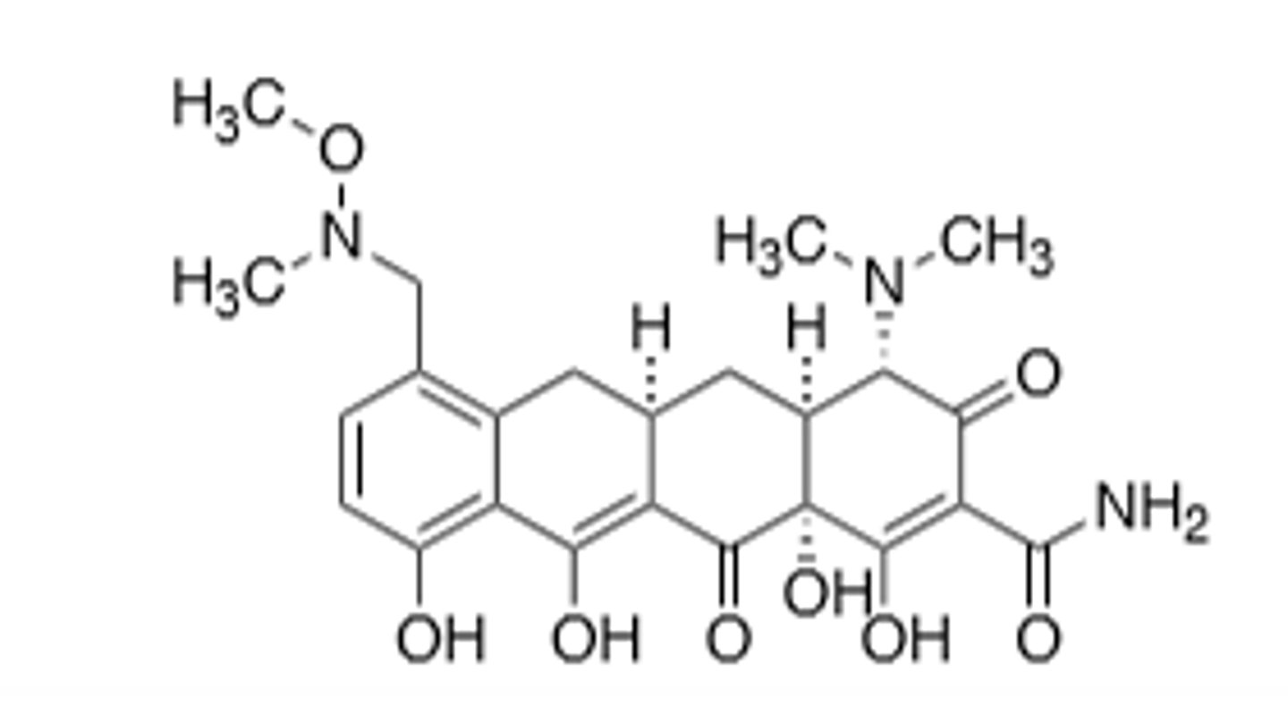 <p>Weight based dosing, newer tetracycline that overcomes ribosomal protection proteins, can cause fetal harm when administering to pregnant women, may interfere with action of penicillins due to mechanism of inhibiting 30S subunit in tetracyclines, can increase intracranial pressure --> (all tetracyclines). Chelating agent, will bind to metal ions, which causes the drug to not get absorbed in the GI tract as well, broad spectrum</p>