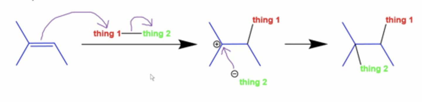 <p>either side of the alkene gets shit added to it</p><p>-the thing that gets attacked goes on the carbon with more H's, and thing 2 goes on the carbon with fewer H's</p>