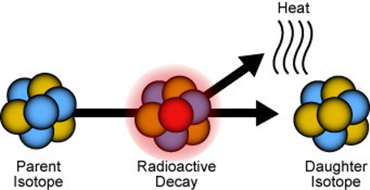 <p>the stable isotope produced by the radioactive decay of the parent isotope</p>