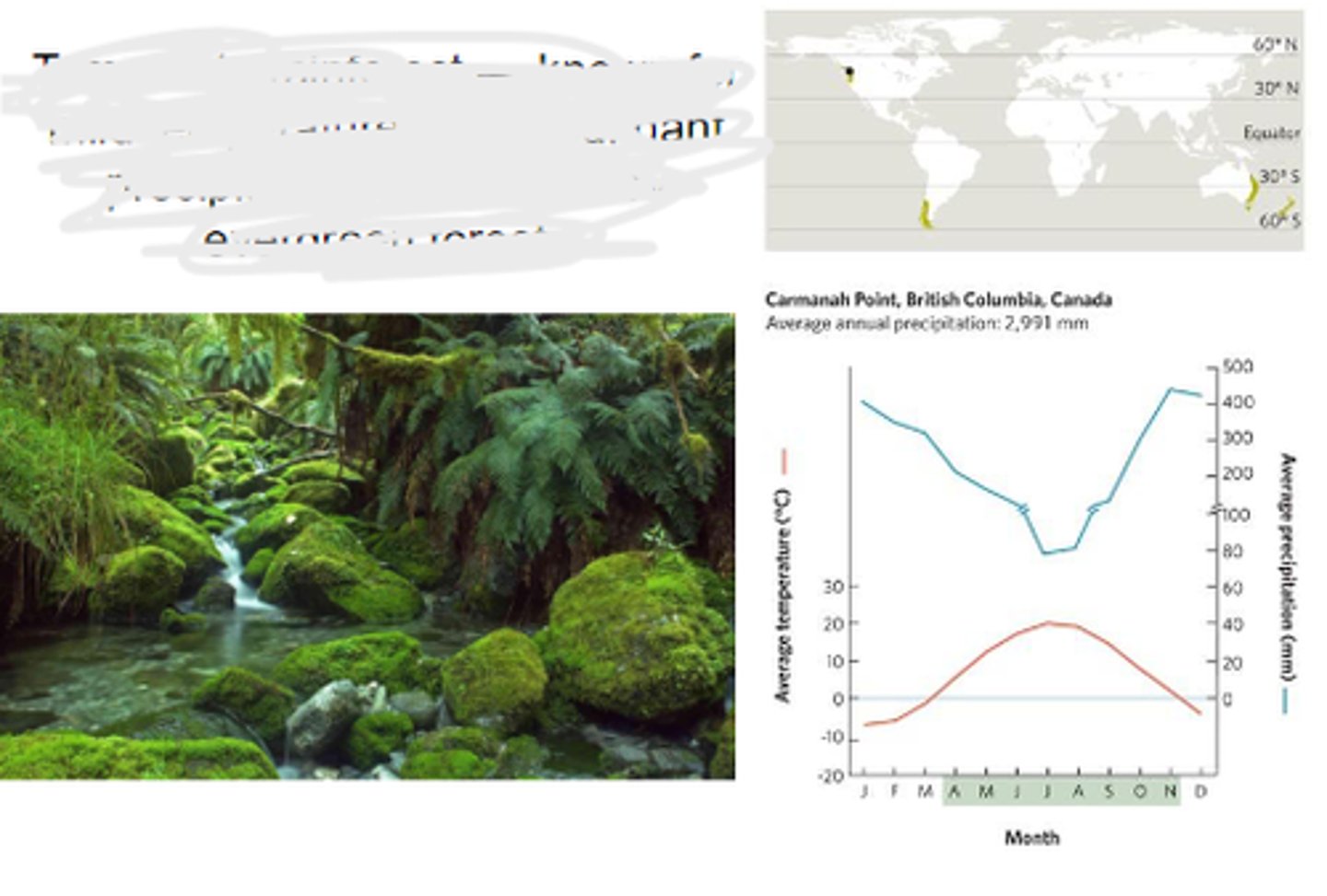 <p>known for mild temperatures and abundant precipitation, dominated by evergreen forests.</p>