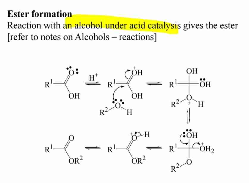 <p><span>Reaction with alcohols under acid catalysis forms esters.</span></p>