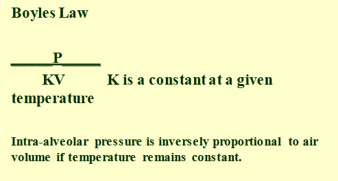 <p>boyle’s law</p>