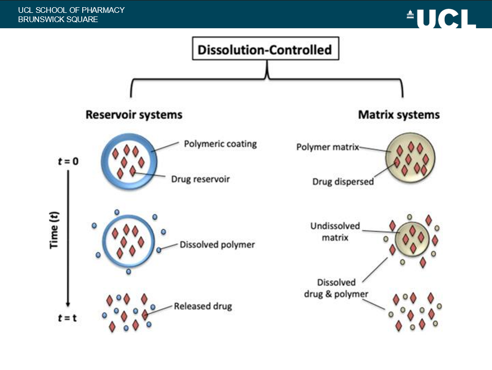 <p>describe the dissolution controlled release mechanism</p>