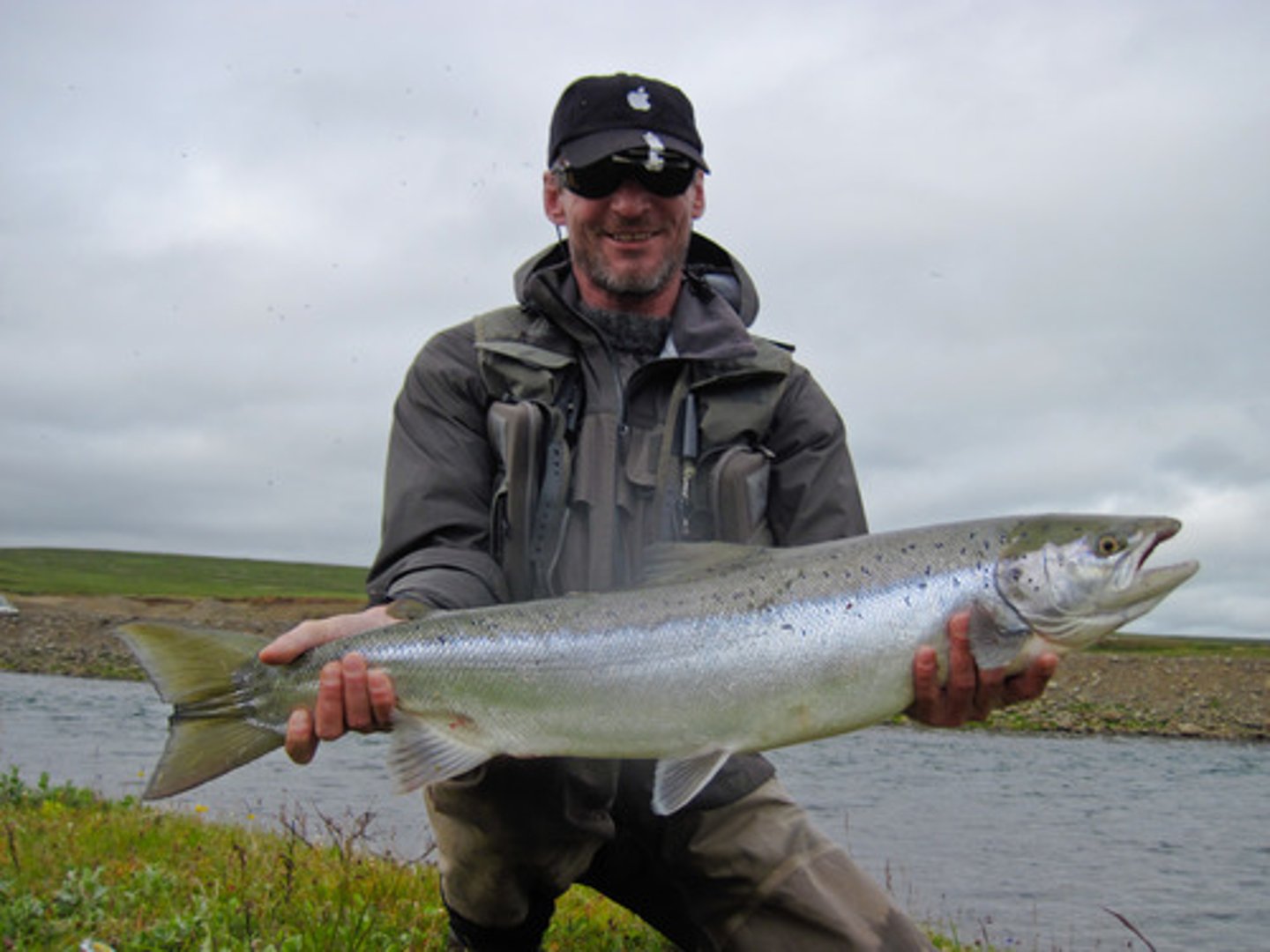 <p>any of various large food and game fishes of northern waters</p>