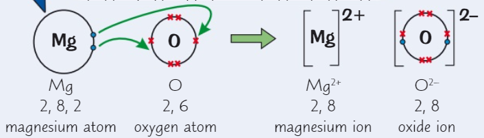 knowt flashcard image