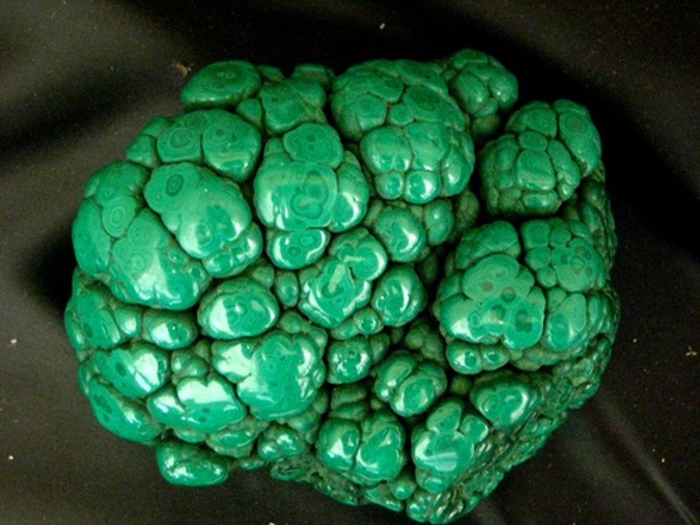 <p>Always green, with a green streak.</p>