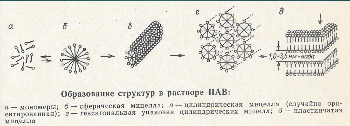 <p><span>При достижении ККМ, молекулы объединяются в сферические мицеллы. При переходе к гексагональной упаковке цилиндрических мицелл, раствор становится анизотропным, то есть свойства зависят от направления оптической оси.</span></p><p><span> Последние два состояния называют </span><strong><span>лиотропными жидкими кристаллами</span></strong><span>, так как упорядоченные кристаллоподобные структуры существуют в жидкой среде.</span></p>