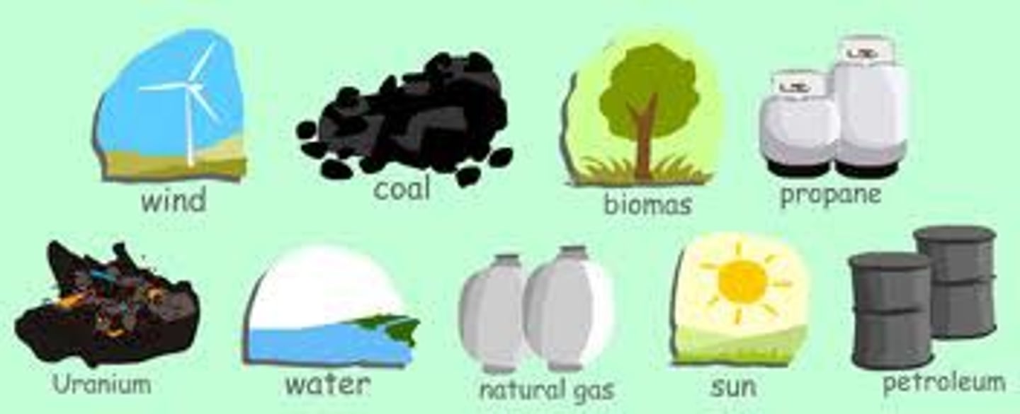 <p>natural resources</p>
