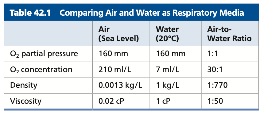 <p><strong>Respiratory Media</strong></p><ul><li><p>The conditions vary depending on whether the ____ of oxygen (air or water)</p><ul><li><p>Air is less less dense and viscous than water; Breathing in air is relatively easy</p></li></ul></li><li><p>Gas exchange with ____ as the respiratory medium is much more demanding</p><ul><li><p>Dissolved oxygen levels in lakes, oceans, and other bodies of water are <strong>always much ____</strong> than the levels in an equivalent volume of air</p></li><li><p>The warmer and ____ the water, the less dissolved O2 it can hold</p></li><li><p>Water’s lower O2 content, greater density, and greater viscosity mean that aquatic animals must expend considerable energy to carry out gas exchange</p></li></ul></li></ul>